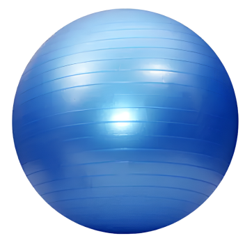 Exercise Ball