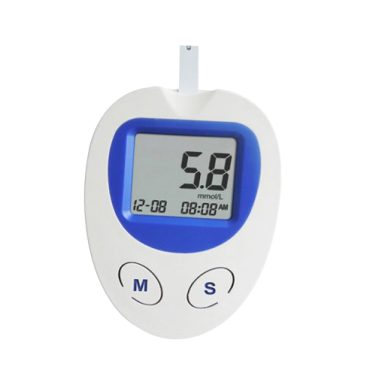 Blood Sugar Test Kit